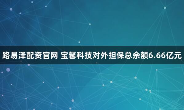 路易泽配资官网 宝馨科技对外担保总余额6.66亿元