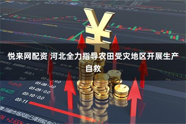 悦来网配资 河北全力指导农田受灾地区开展生产自救