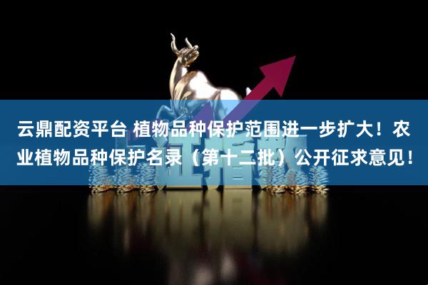 云鼎配资平台 植物品种保护范围进一步扩大！农业植物品种保护名录（第十二批）公开征求意见！